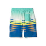 #color_electric blue