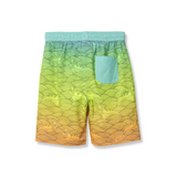 #color_bright orange