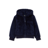 #color_peacoat